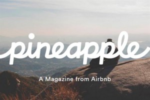 pineapple airbnb