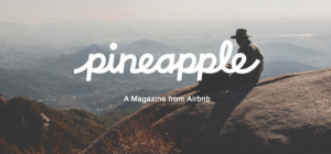 Airbnb Magazine Pineapple