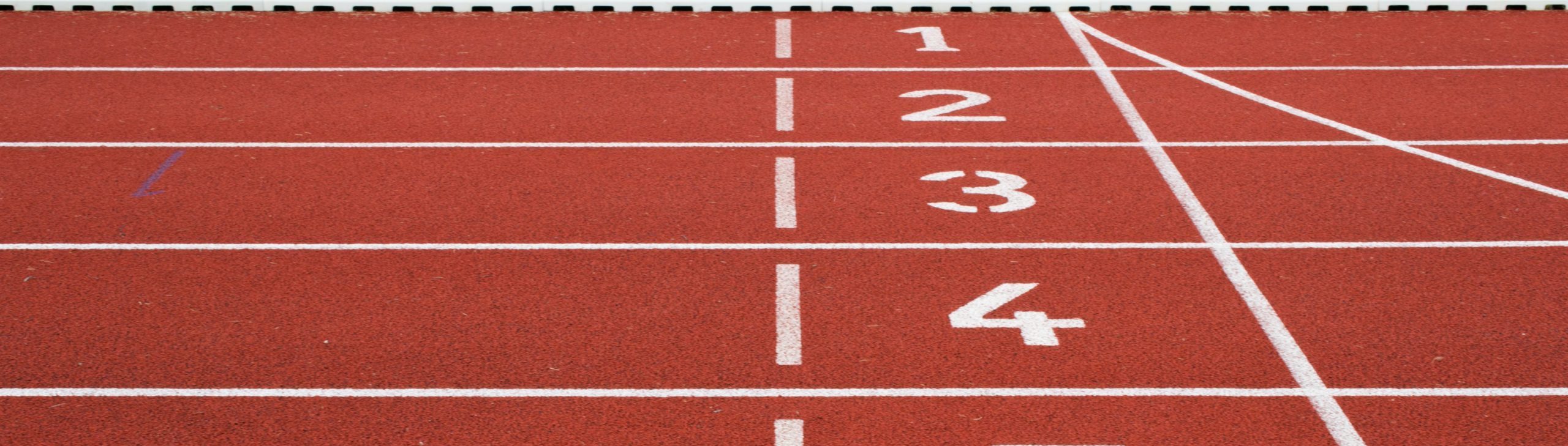  Produire un article SEO performant en 2024 : Guide complet