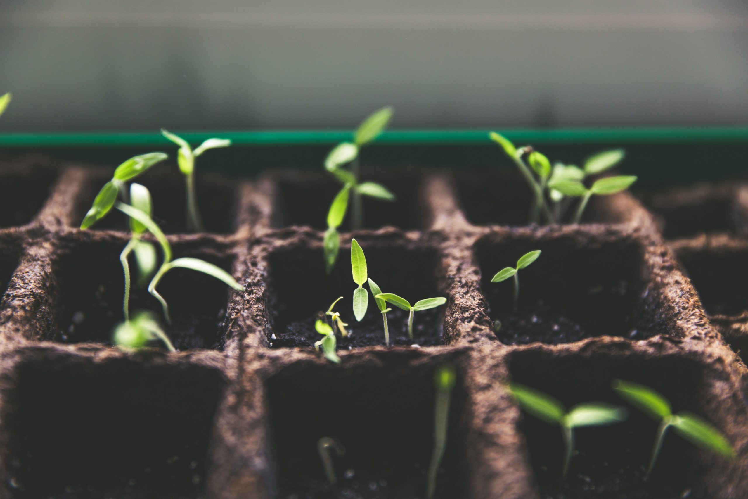  Comment mesurer le ROI de sa stratégie de content marketing ?